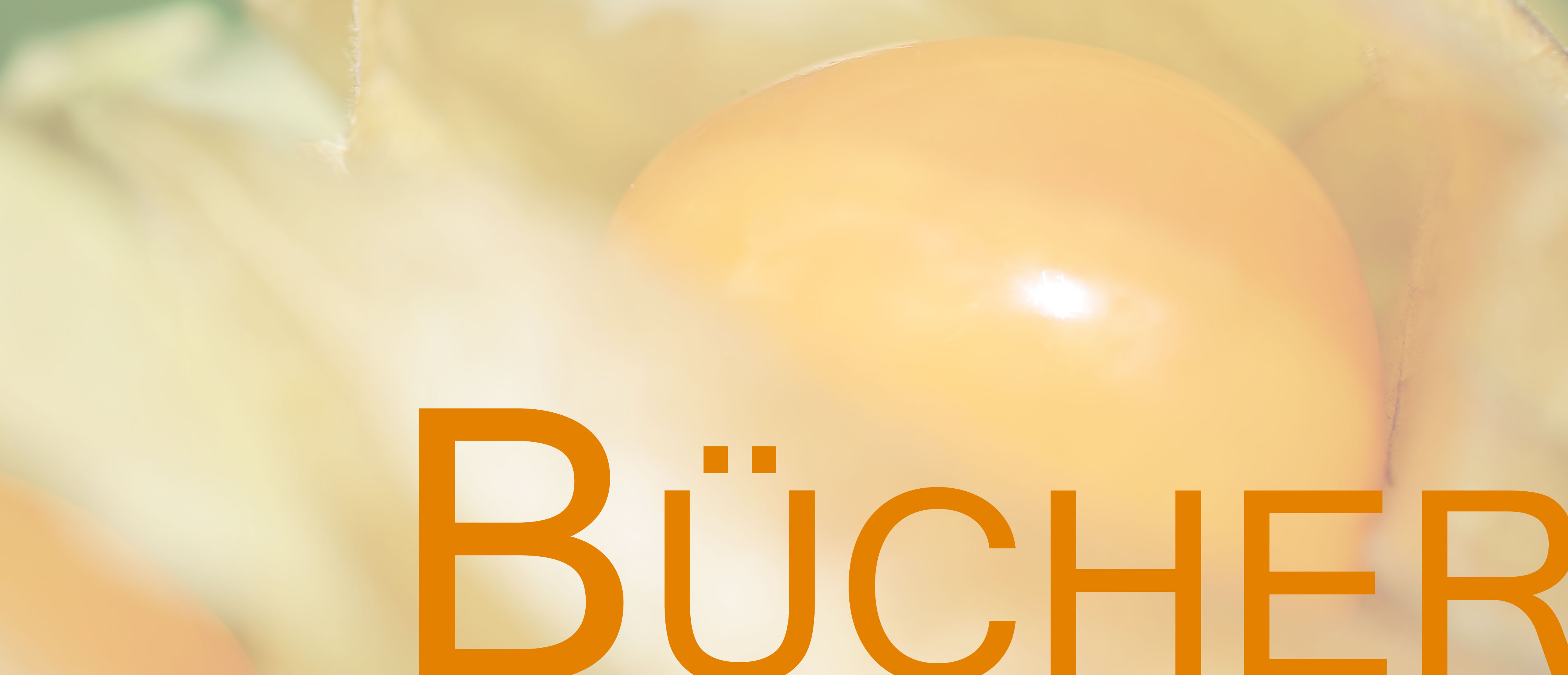 Buecher