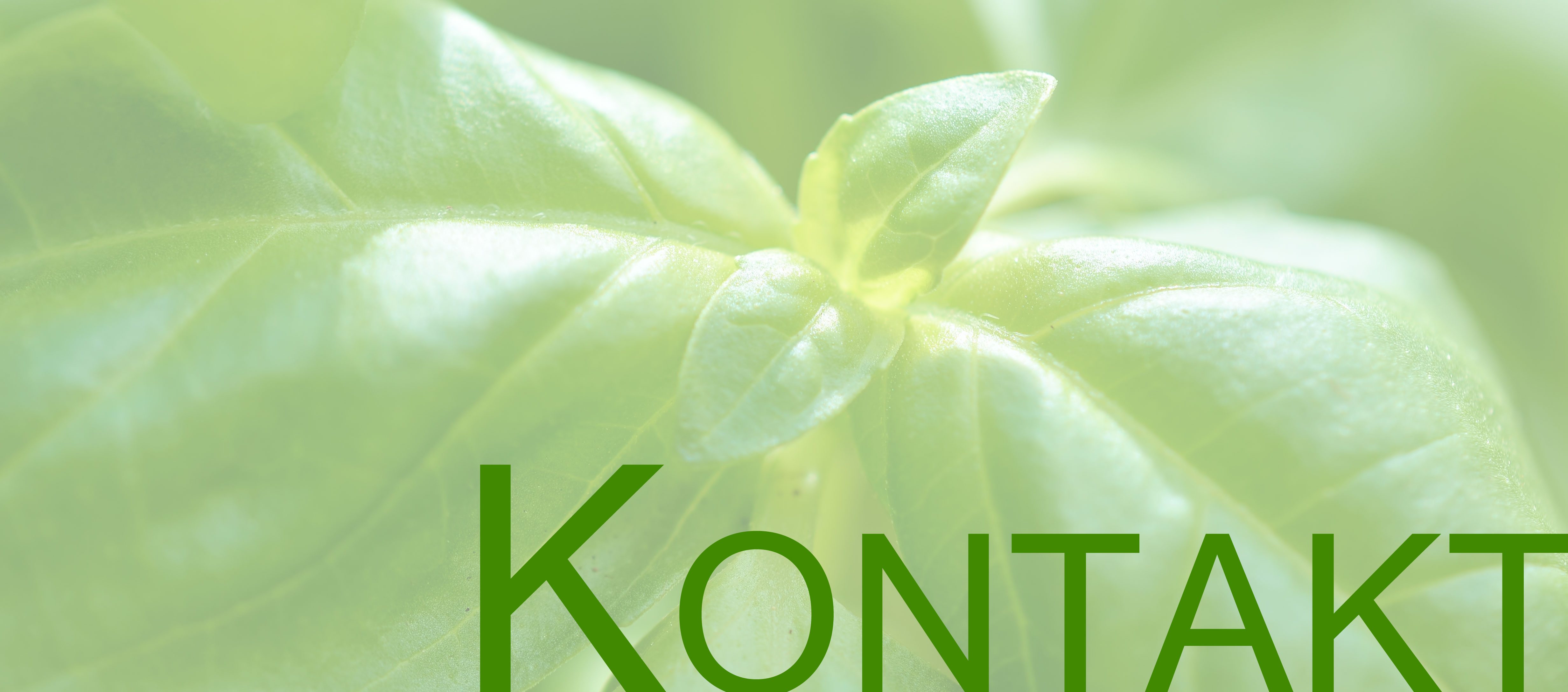Kontakt